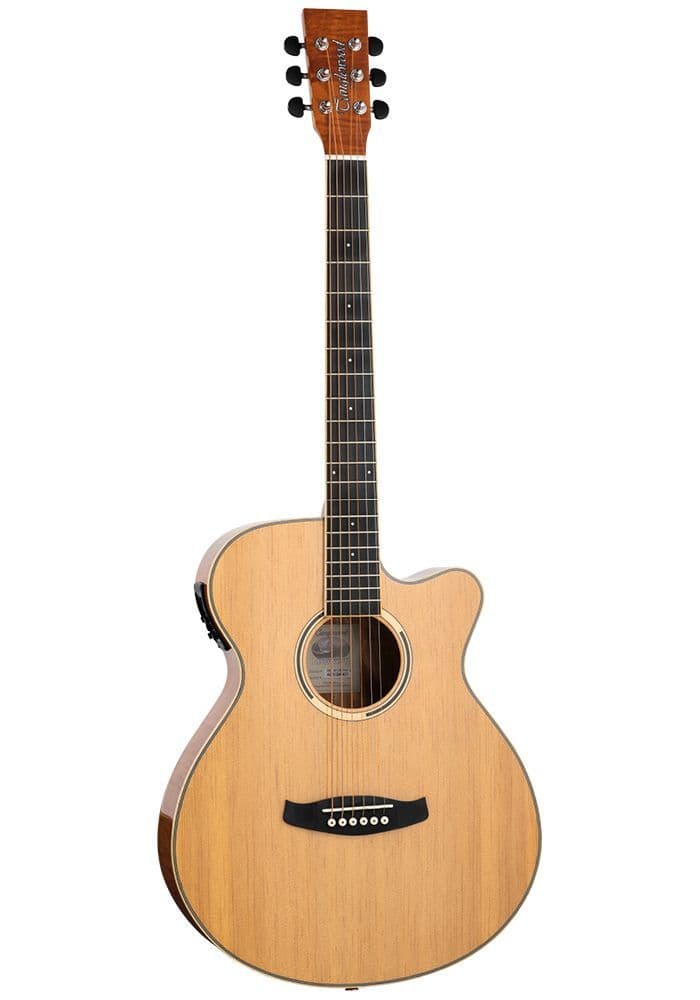 Tanglewood DBT DCE FMH Discovery Dreadnought Acoustic Electric Guitar with Bag