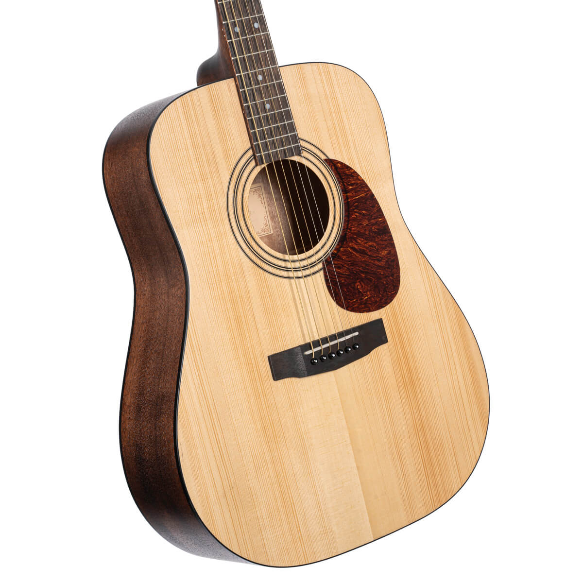 CORT Earth Pack OP Acoustic Guitar Set with BAG